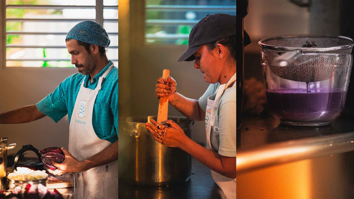 Proceso de Fermentación Sauerkraut